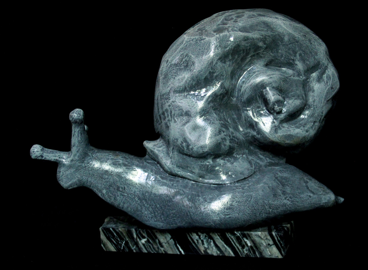 Helix masculum