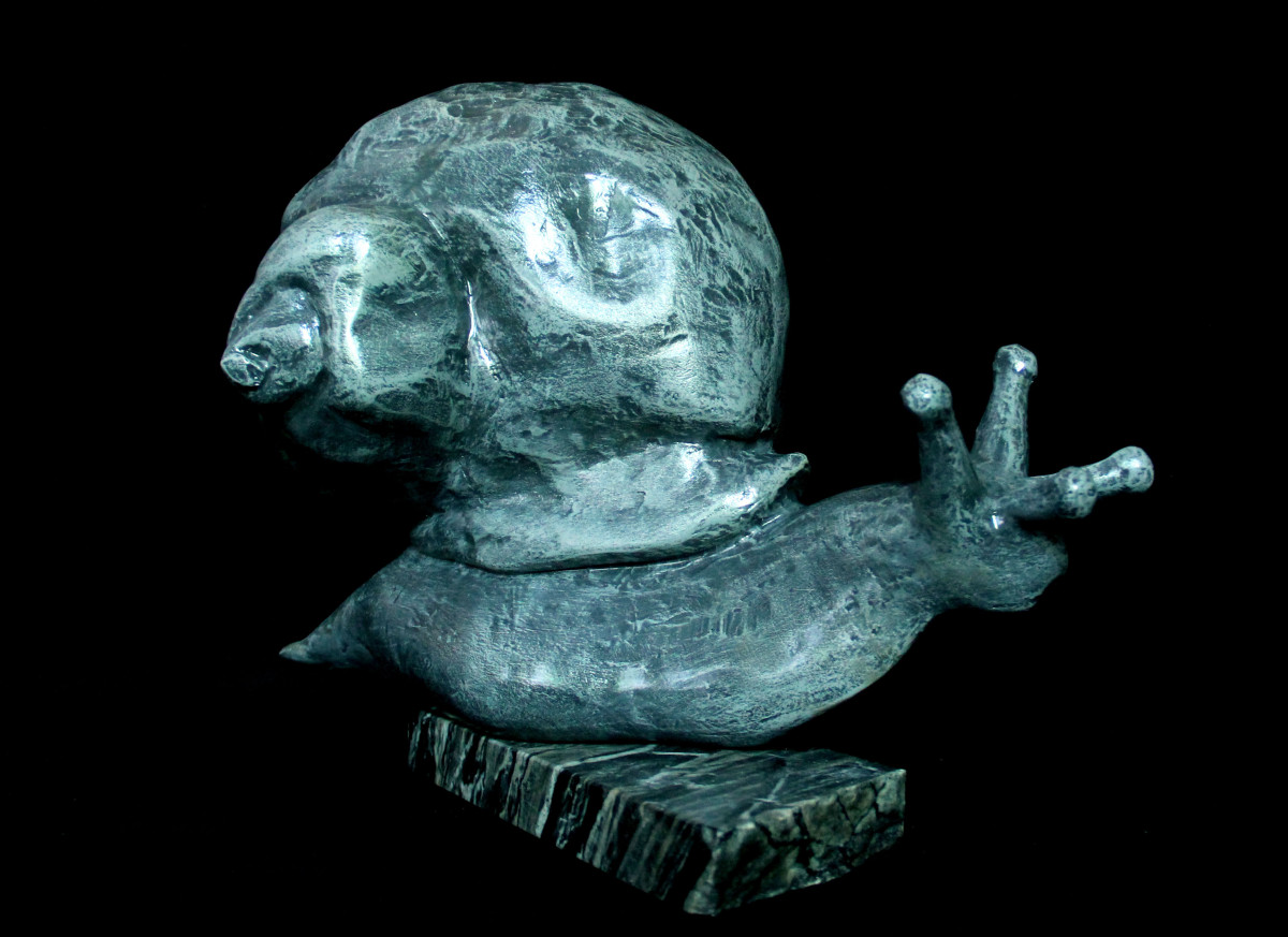 Helix masculum