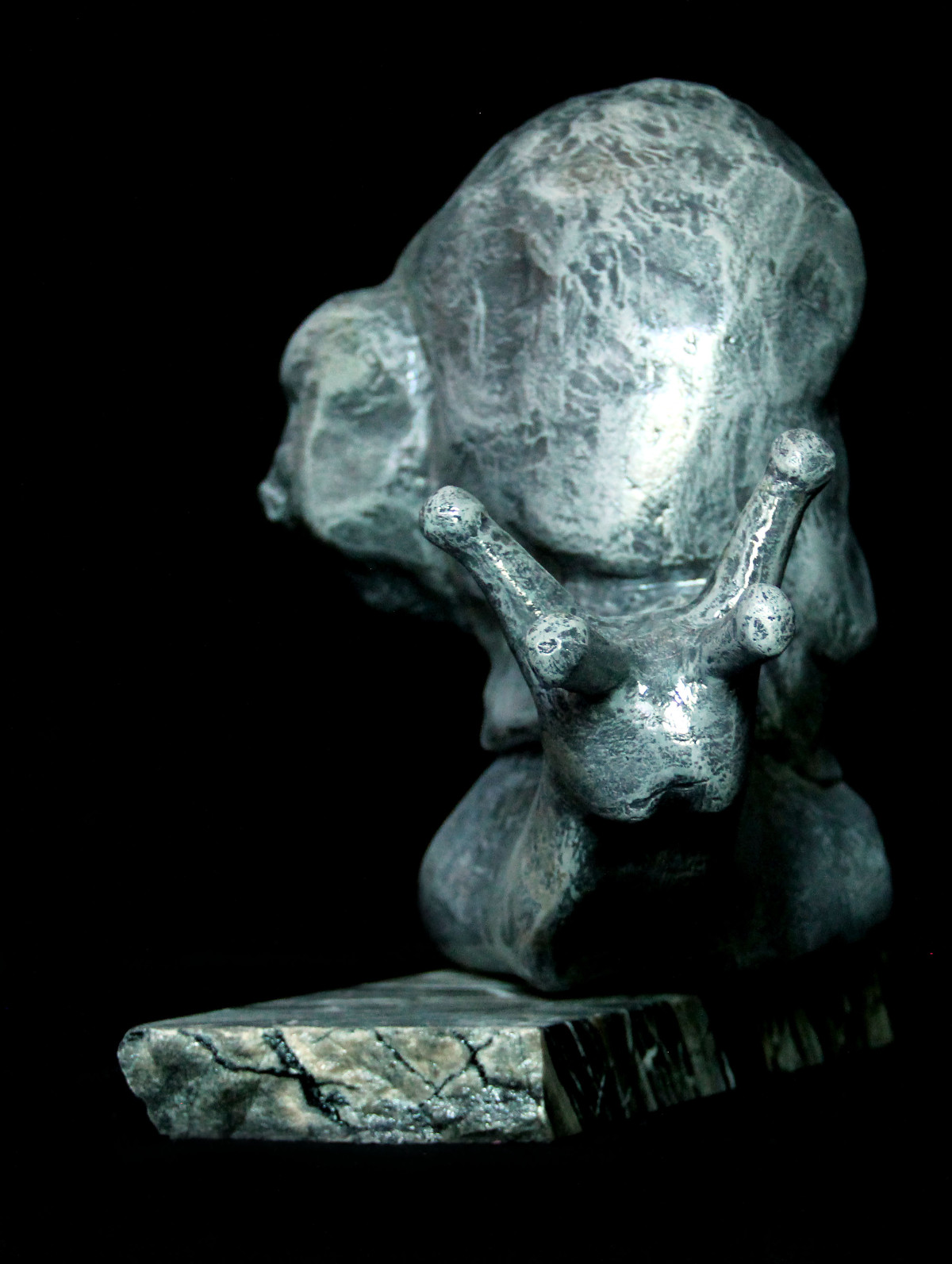 Helix masculum